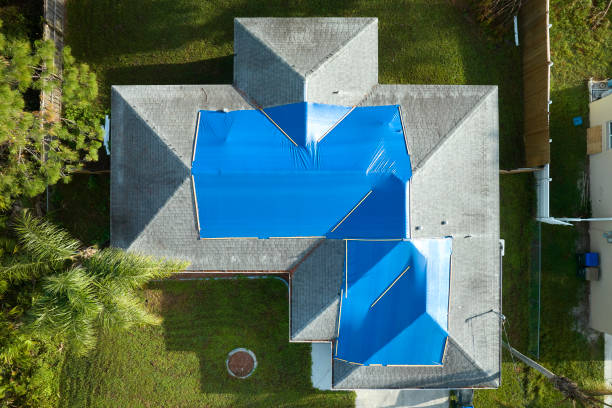 Best Asphalt Shingle Roofing  in East Hampton North, NY